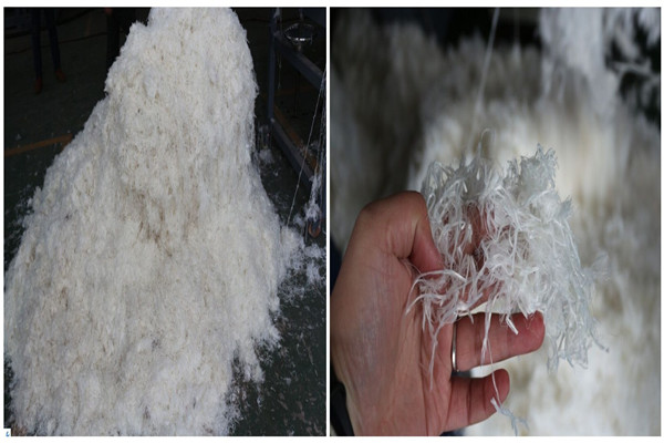 Fiber